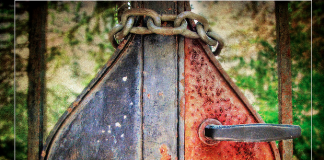 A Writer’s Guide to Permissions and Fair Use