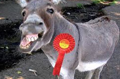 Problems for Deputy Dawg Labour