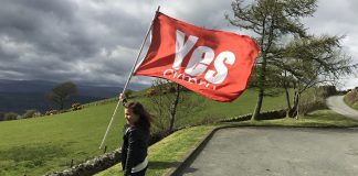 No Cymru, no committee…