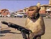 Armed to lying teeth