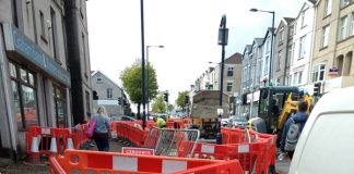 Mature Trees Felled To Form Swansea Godzilla Defences Trees being cut down.