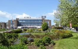 Swans way new tricks