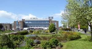 Swans way new tricks