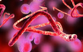 FluBola. The Cummings Apocalypse