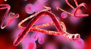 FluBola. The Cummings Apocalypse