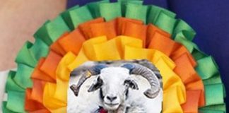 The Bellwether Manifesto Bellwether Party