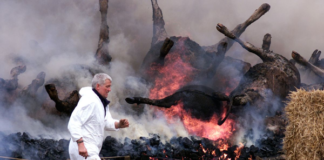 Covid-19: The Practice Run Pandemic