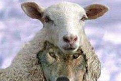 A letter from the Prime Shepherd Prime Shepherd