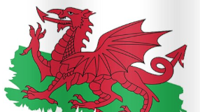 Civil war of the world