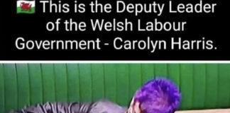 Asleep on the job…